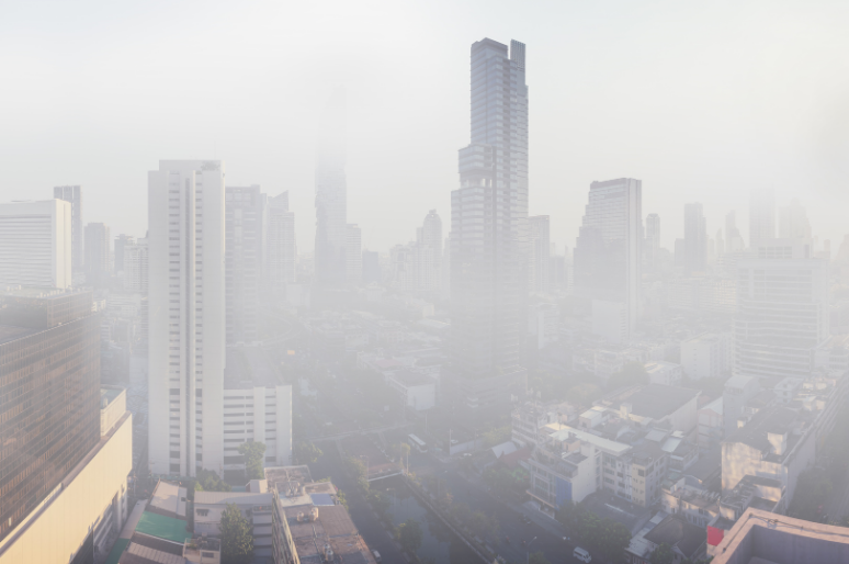 Partikulat PM10 dan PM2.5 dalam Kualitas Udara Ambien