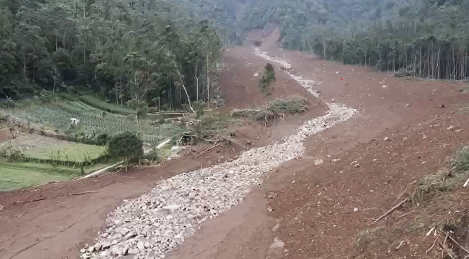 Longsor Cisarua: Kenapa Kebun Kentang dan Paprika Disebut Jadi Pemicunya?